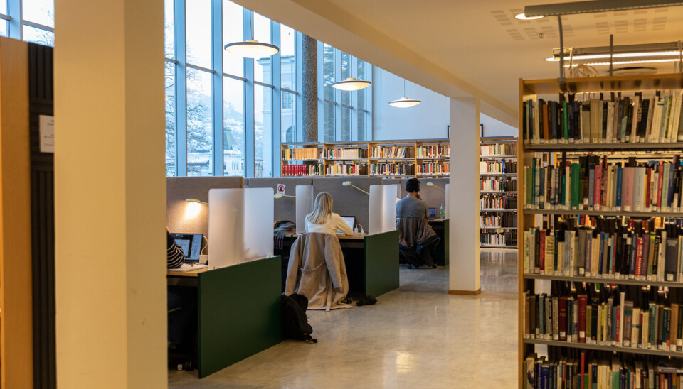 FINE OMGIVELSER. Fokuserte studenter på bibliotek for humaniora.