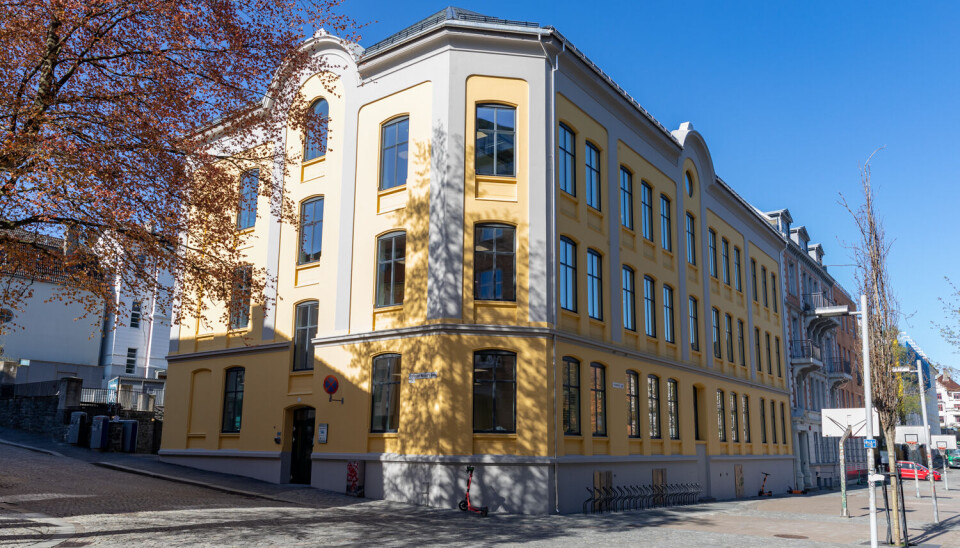 GANSKE NYOPPUSSET: Ulrike Pihls hus har leseplasser for alle som er villige til å stå opp tidlig nok.