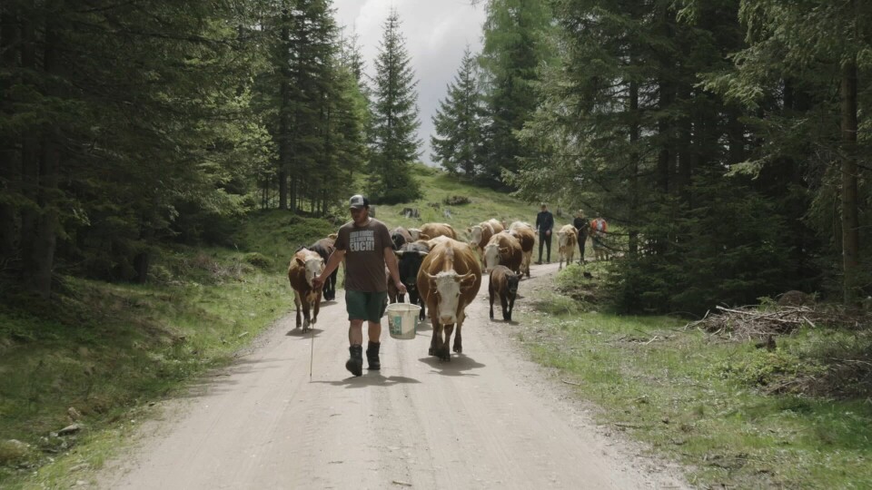 MODERNE BONDE: Slik kan det se ut å være bonde i Østerriket i det 21. århundret. PRESSEFOTO: Bergen internasjonale filmfestival