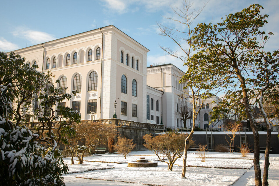 Universitetsmuseet i Bergen. ARKIVFOTO: Johanne Marlene Hansen