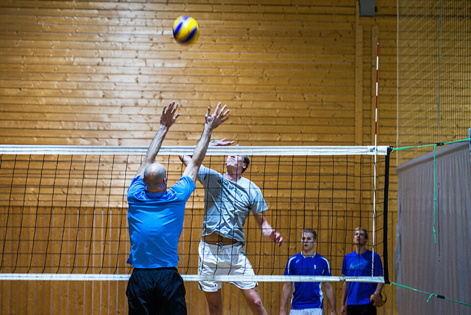 ARKIVFOTO: TORIL SUNDE APELTHUN