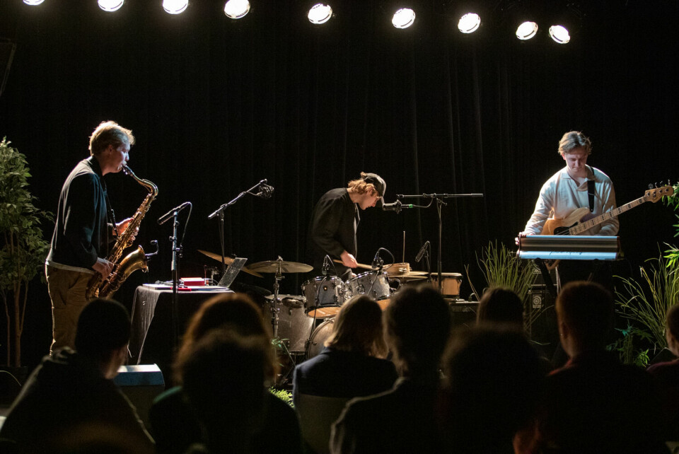 TRIO: Omringet av planter inviterte Aksel Rønning Trio publikum inn i deres nyskapende jazz. FOTO: Tekla Vollen