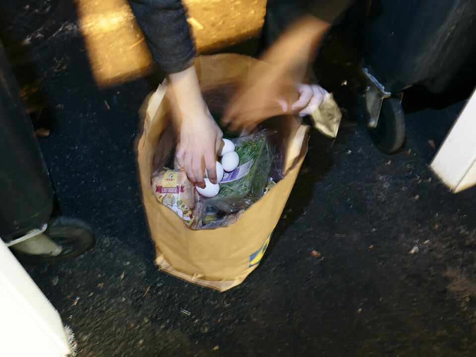 UTVALG. Fredrik Wyller fyller bæreposen med spiselig mat. FOTO: HENRIK FOLLESØ EGELAND