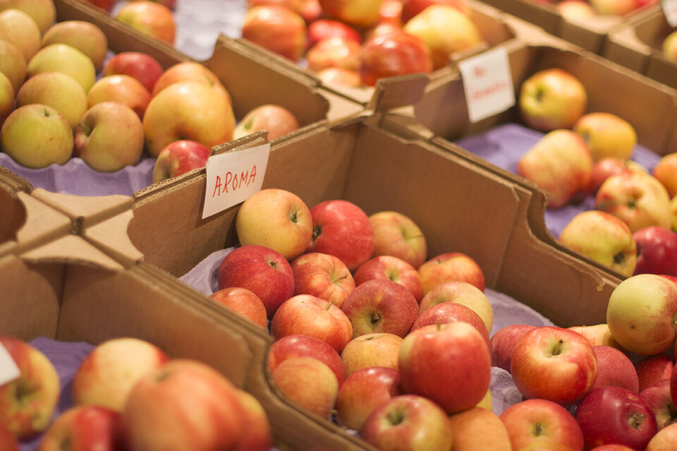 GROCERIES. Fruits and vegetables might be the most expensive products because most of them have to be imported to Norway.