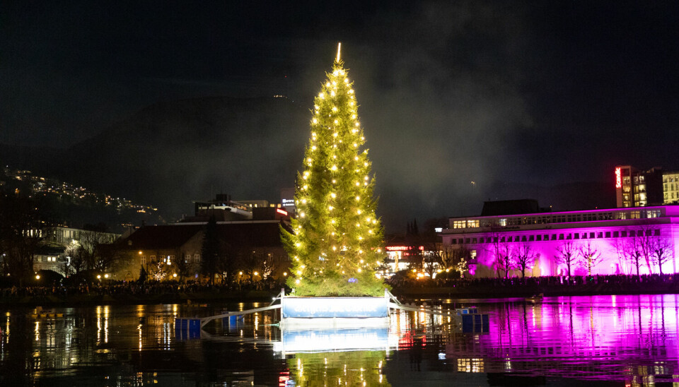 SHINING: The Christmas tree lit up in the middle of Lille Lungegårdsvann.