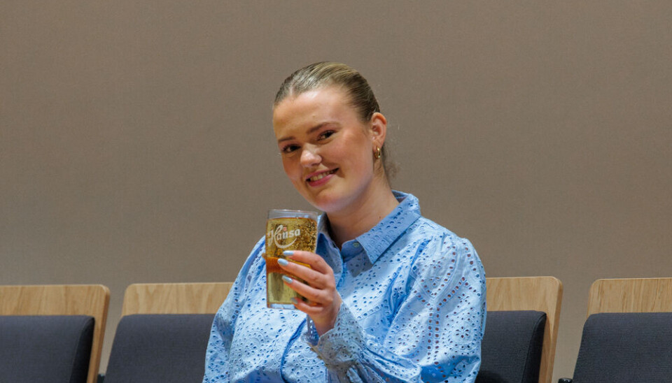 MODERAT LISTE: Vekk med utenrikspolitikk, inn med pils