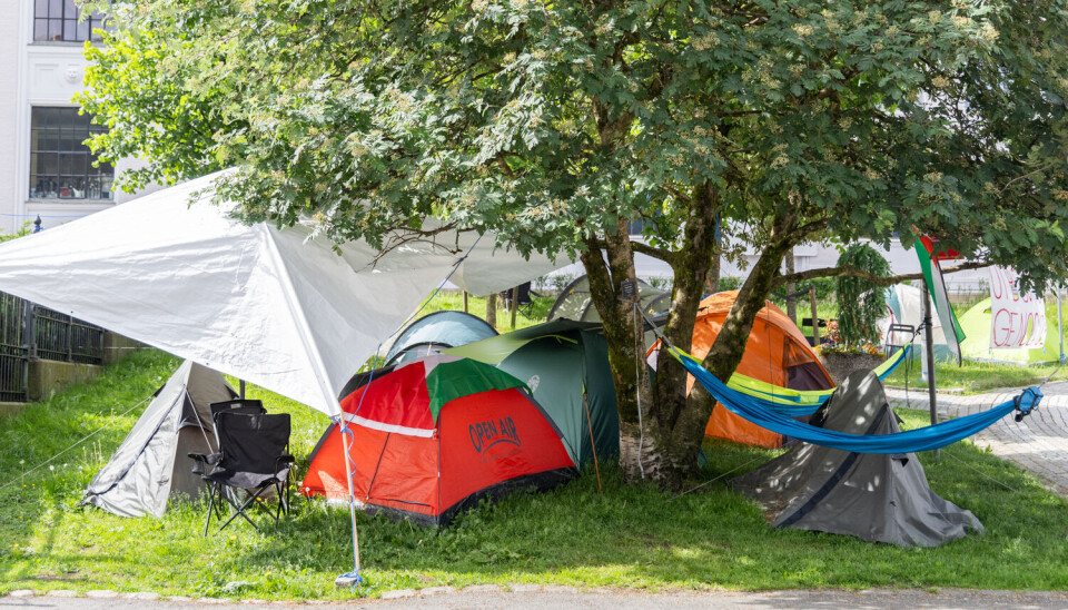 CAMP FALESTIN: Rundt 60 studenter har vært innom campen i følge aksjonsgruppen.