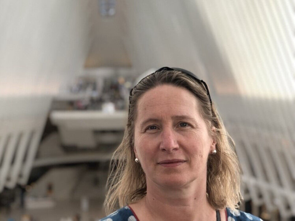 VIKTIGE REVISJONER: Steine mener at revisjoner som regel er nødvendige.