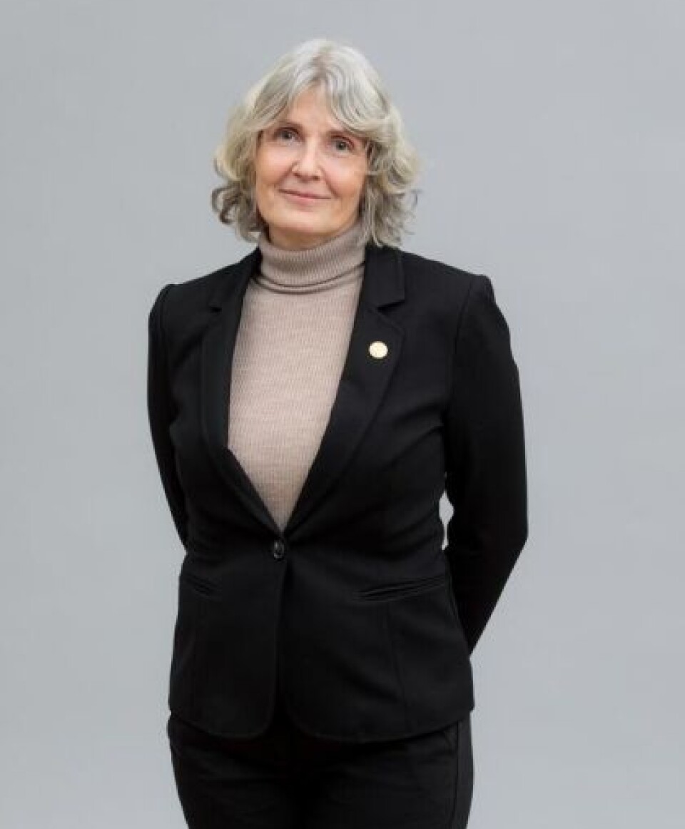 REALISTISK: Benedicte Carlsen, professor og viserektor for forskning og internasjonale relasjoner, mener det er lurt å sette realistiske mål.