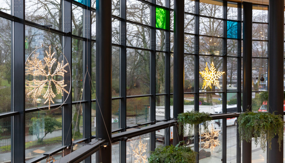 JULESTEMNING: VilVite disker opp med julestjerner og juletre.
