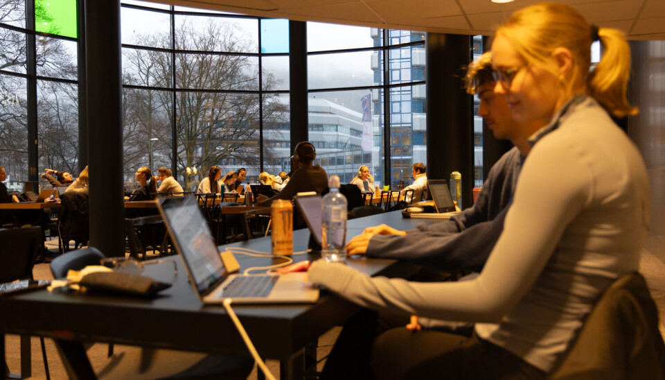 VILVITE: Det var disse medisinstudentene sin første tur hit.