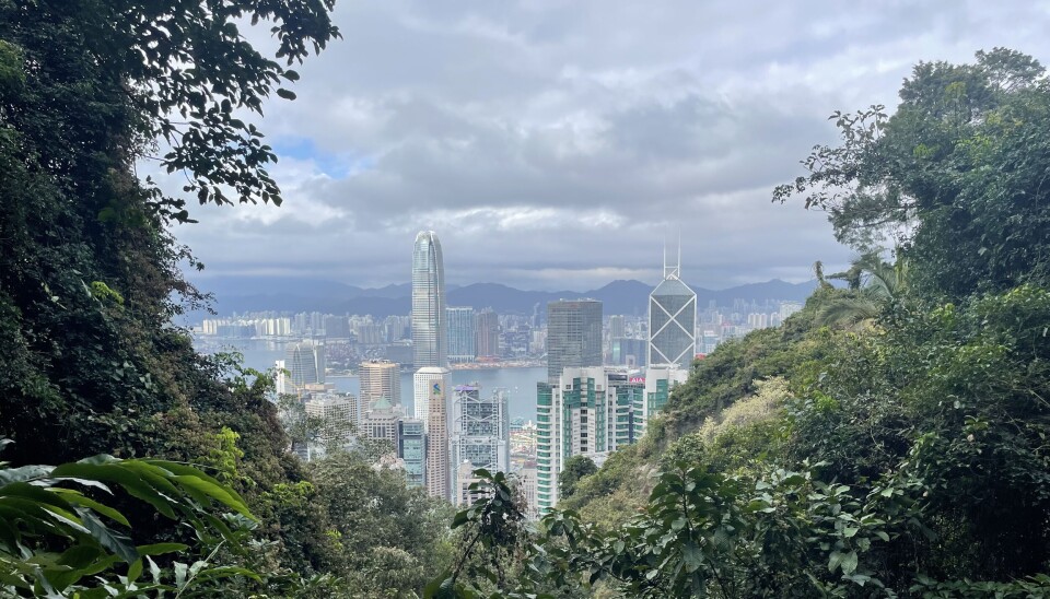 Østens gull og grønne skoger