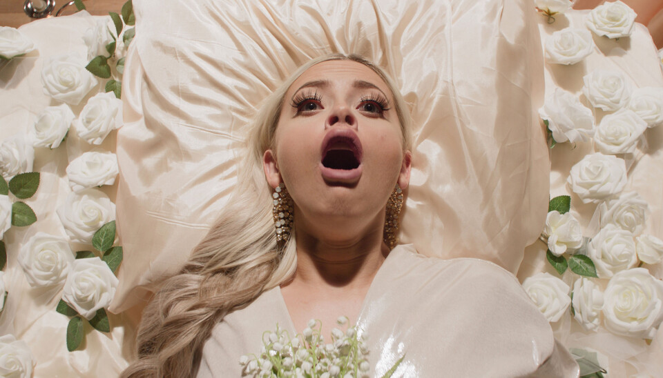 ROSABLOGG: Studvest har anmeldt «Rekviem for Selina» for generasjonen som vokste opp med rosabloggerne.