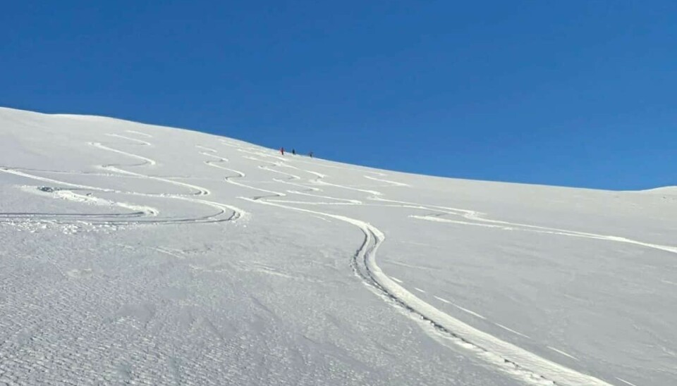 SLAK: Utsett pensumlesingen mens det fremdeles finnes snø.