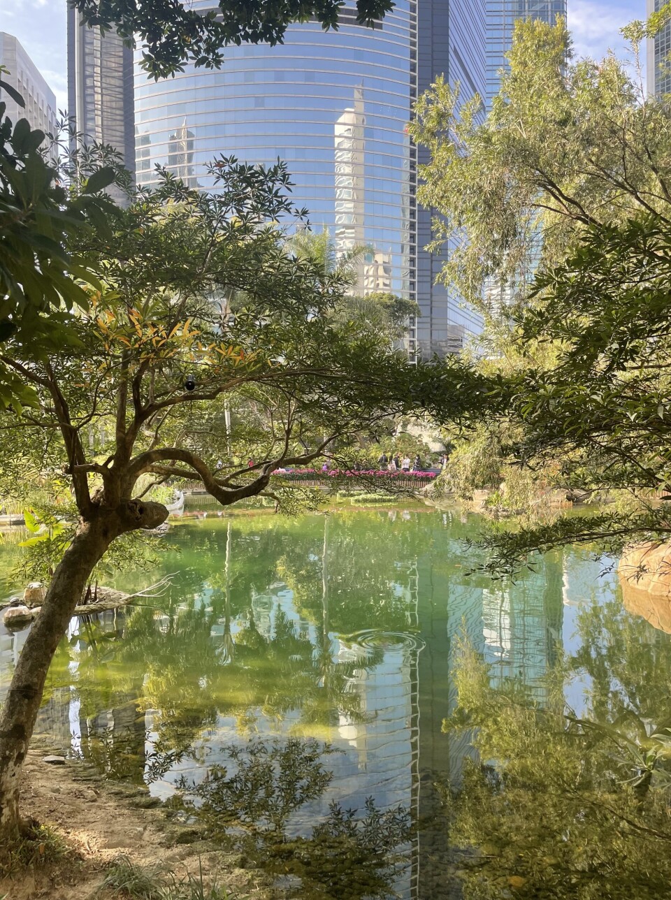 Østens gull og grønne skoger