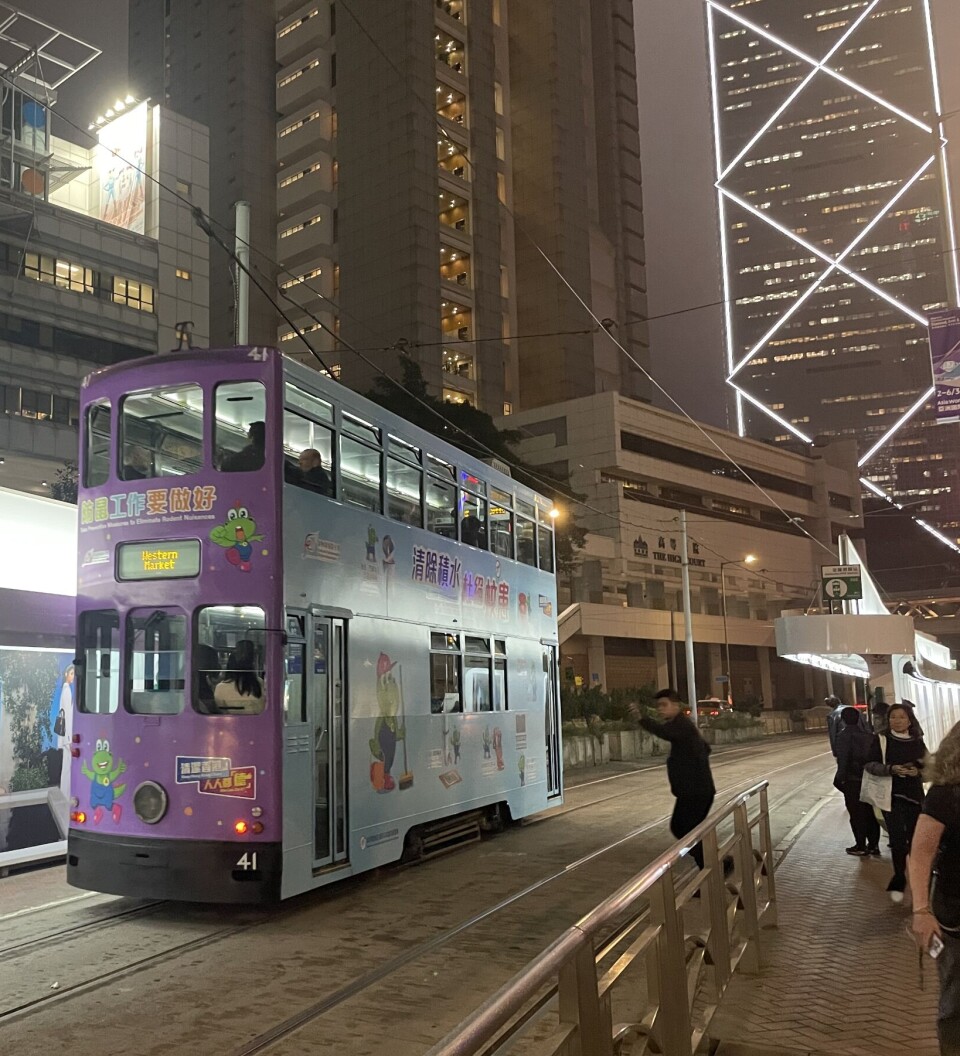Østens gull og grønne skoger