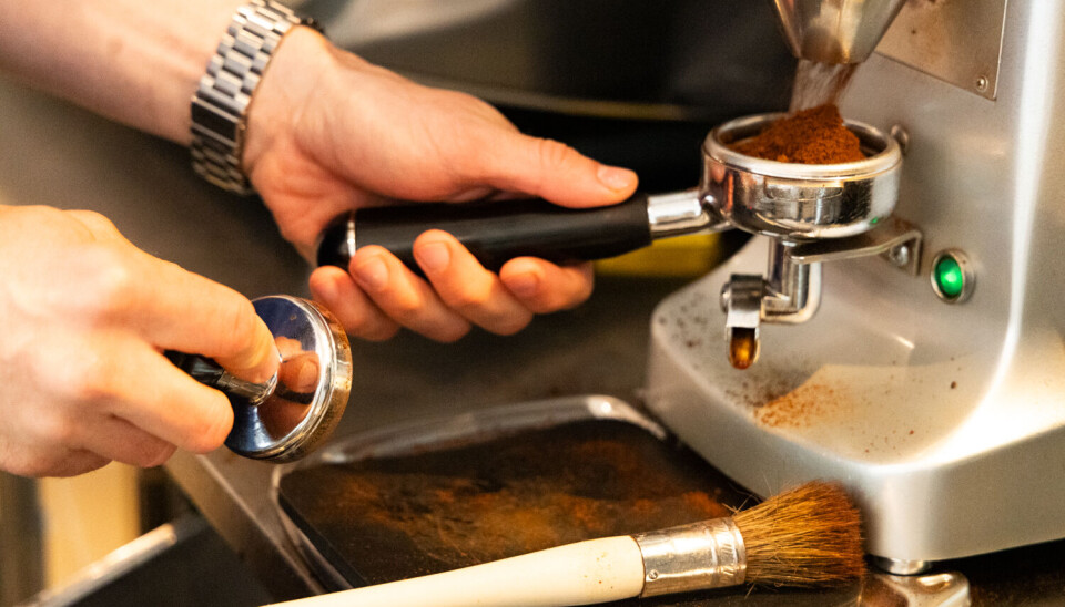 FØRSTE STEG: Kunstneren trenger penselen sin. Dette gjelder også for kaffe-kunstner Adam Szalai.