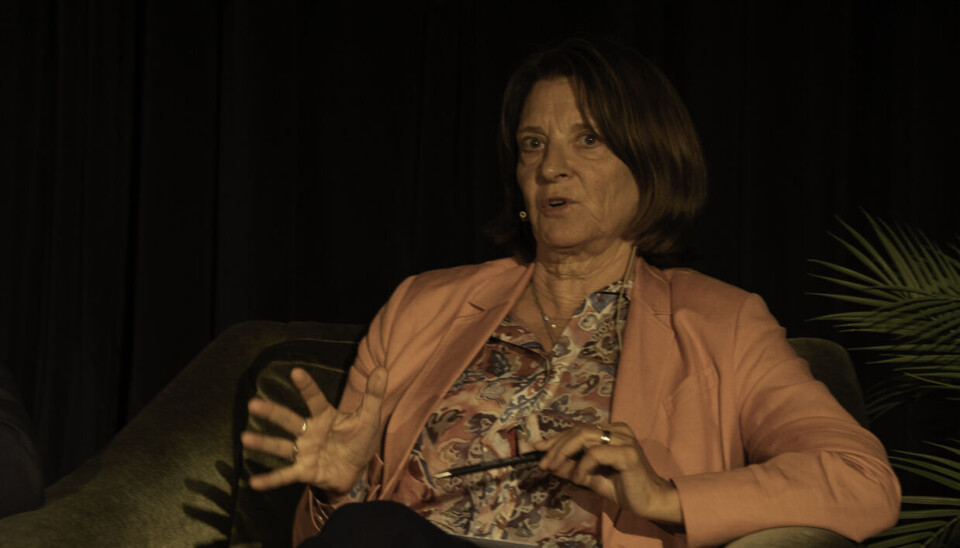 MONA JUUL: Diplomat i Midtausten.