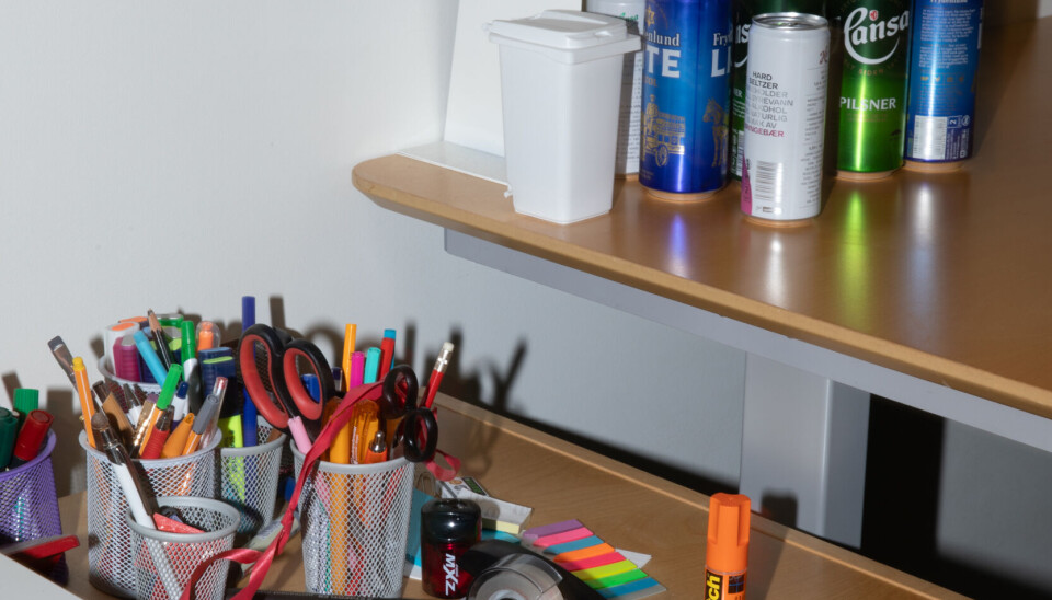 I SKJØNN FORENING: Du finner bare de viktigste remedier på kontoret til universitetsstyret.