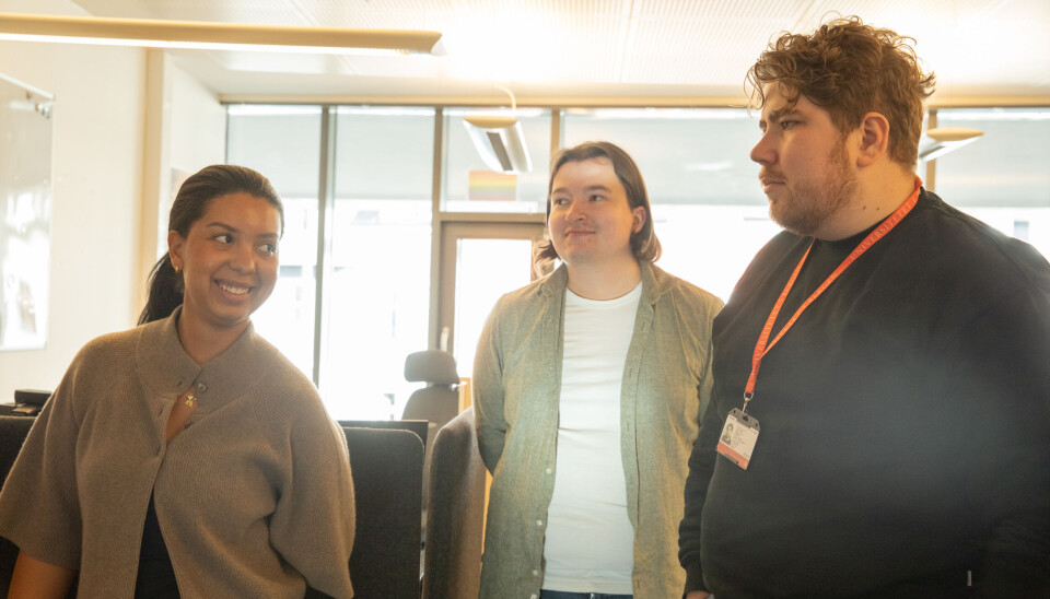 ARBEIDSUTVALGET: Latteren sitter løst når Kaja Sandvik, Kristian Birkeland og Arvid Fauskanger Ekberg viser oss rundt på kontoret.