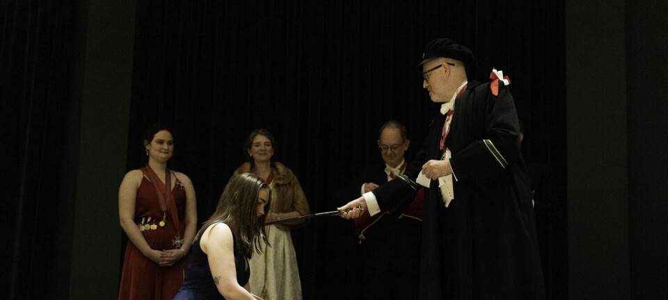 Hans Majestet Pinnsvinets fødselsdag