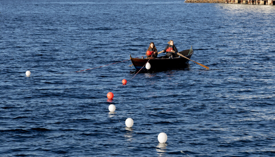 BALLONGER: Studentene satte ut en linje med ballonger for å illustrere hvor de nye utbyggingene skal være.